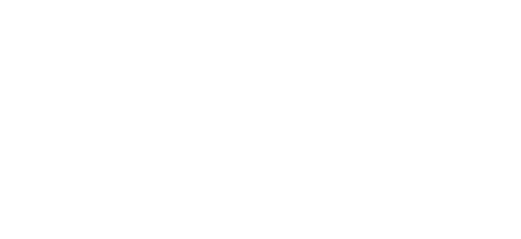 לוגו אופקי לבן @2x